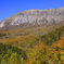2024.11.3 大山鍵掛峠紅葉