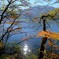 榛名湖の紅葉②