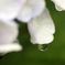 にわか雨通過