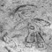 世紀の地上絵発見