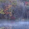 毛嵐と紅葉