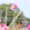 大きく両手を広げて