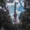 芝公園 4号地