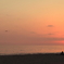 Sunset hunters
