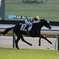 東京競馬場