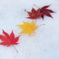 雪が降った