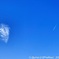 11.9_9:35冬晴れキャンバス飛行機雲！今季最低気温放射冷却4℃毎冬命の危険