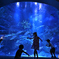 すみだ水族館