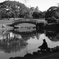 公園①
