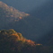 秋山に差す光
