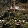 京都大原三千院～