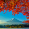 河口湖紅葉のころ①