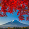 河口湖紅葉のころ②