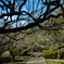 公園の道