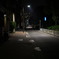 夜の散歩道
