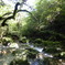 白谷の水緑