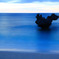 海