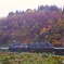 紅葉の只見線第８橋梁！
