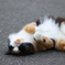 ゴロン