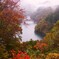 只見線第３橋梁の紅葉！