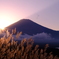 DSCF3592