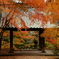 山門