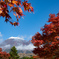 富士山と紅葉２