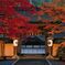 錦秋～金剛峯寺～正門　其の弐