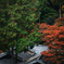 紅葉の宿
