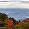 紅葉と街と海