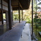 常寂光院