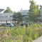 marimekko factory