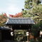京都　大徳寺