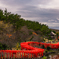 Red Torii Gate