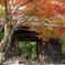 輪王寺（仙台）