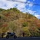 紅葉じゃ