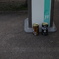 親の帰りを待つ缶コーヒー