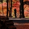 丹波篠山・高蔵寺シルエット