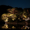 六義園　ライトアップ
