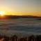 IMG02928