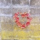 IMG02951