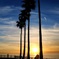 sunset and lovers