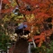 丹波篠山・高蔵寺本堂へ・・。
