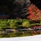 藤原の郷