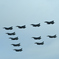 2024 築城基地航空祭