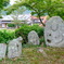 京都　大沢池の石仏群