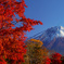 積雪の富士山①
