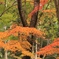播磨中央公園にて４
