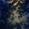 IMGP6350_1