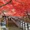 神奈川県、大山